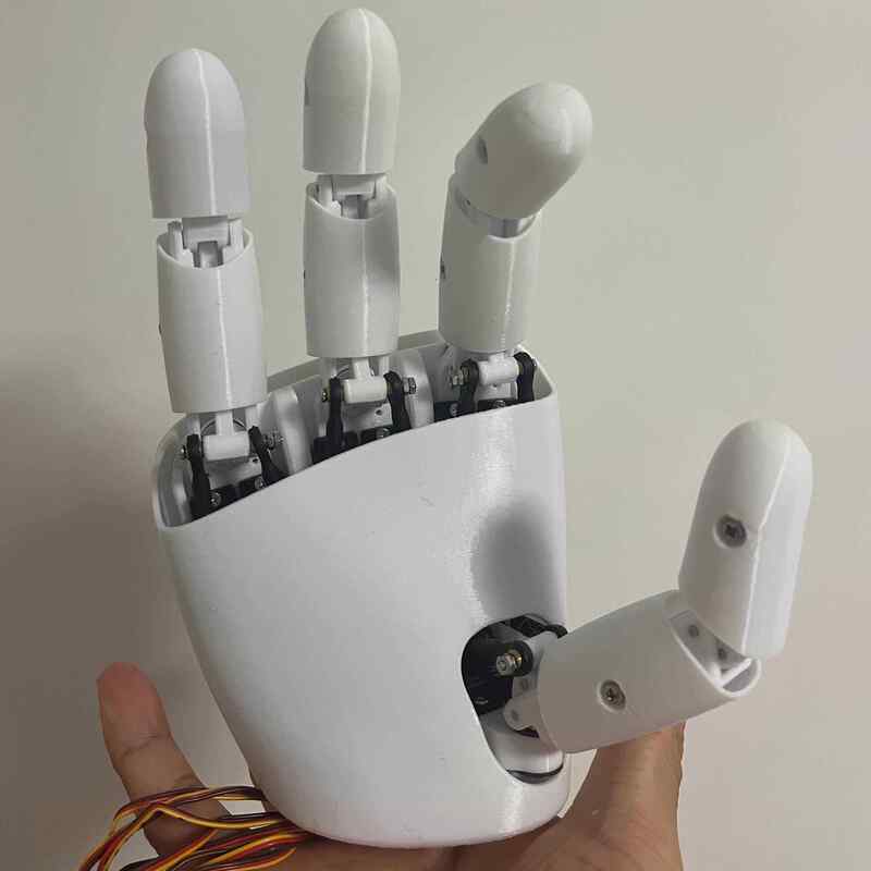 Robot Gripper - AmazingHand 8 DOF Robot El 3D